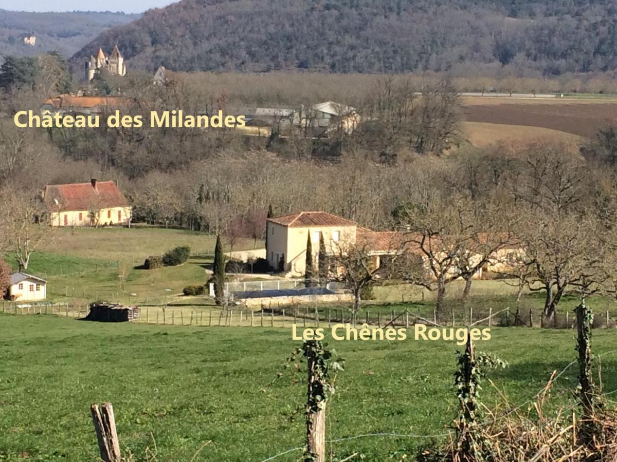 Les Chenes Rouges Veyrines-de-Domme